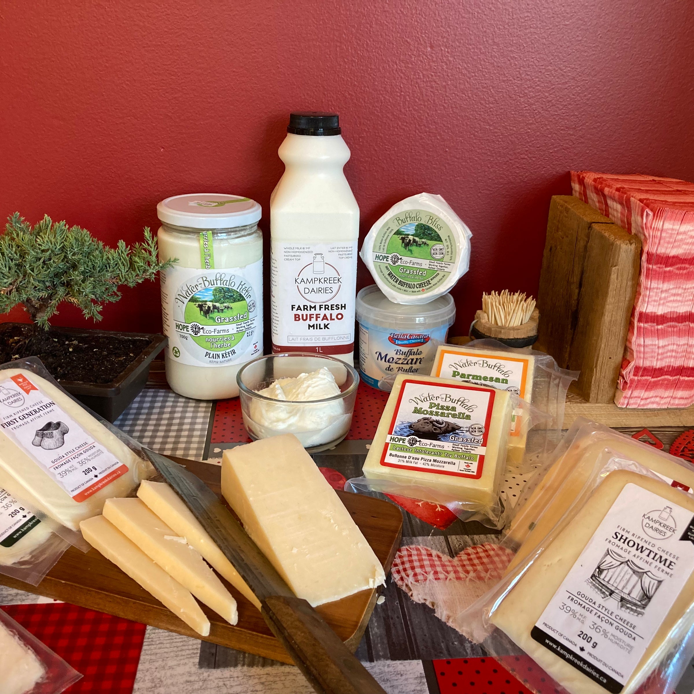Local Water Buffalo Dairy