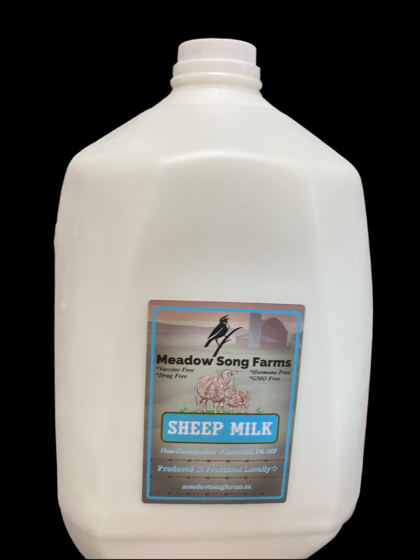 Sheep Milk