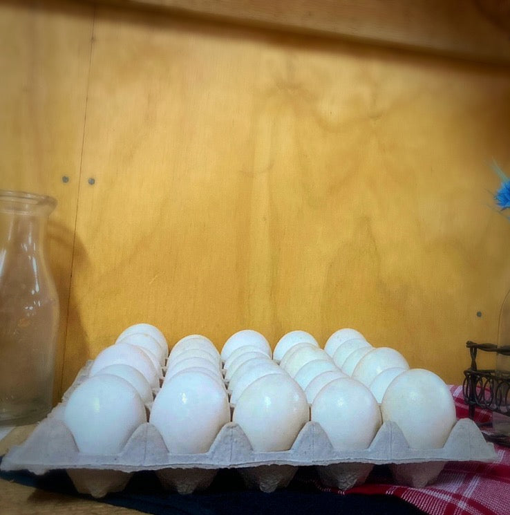 Duck Eggs