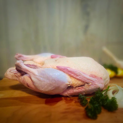 Pastured Duck