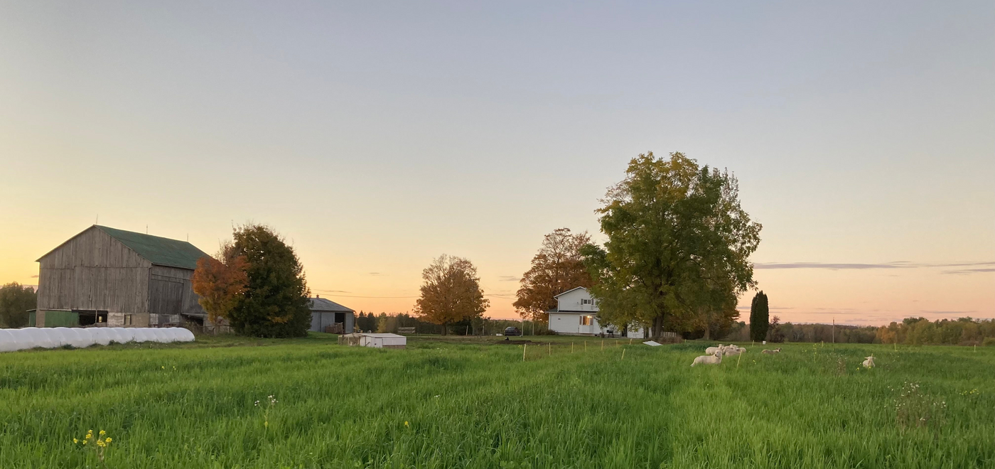 Personal Farm Tour – Meadow Song Farms